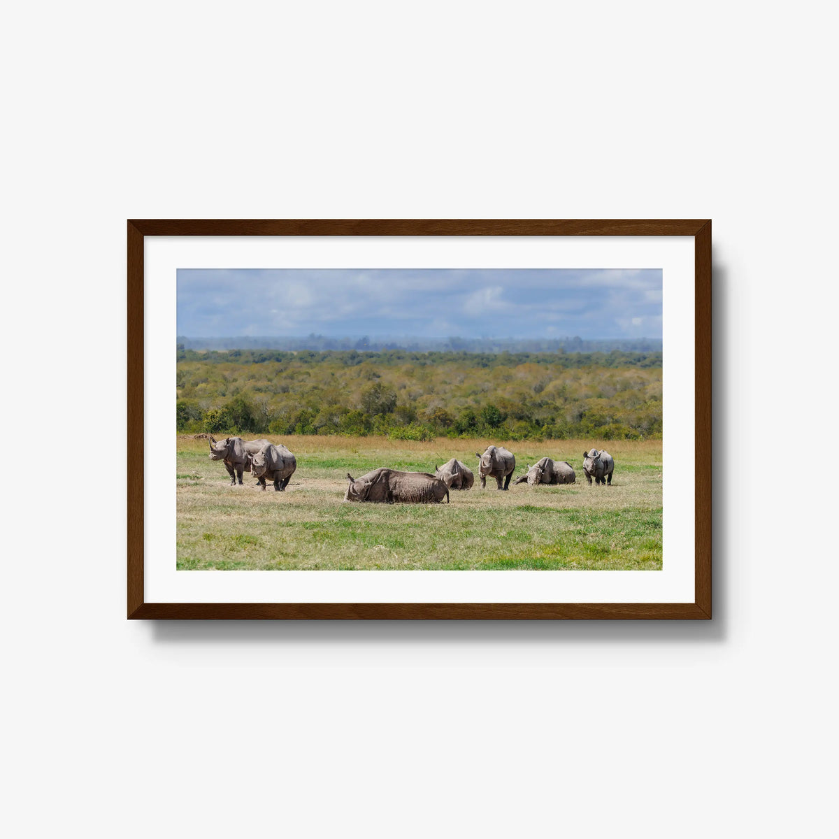 Legacy — large / brown / mat