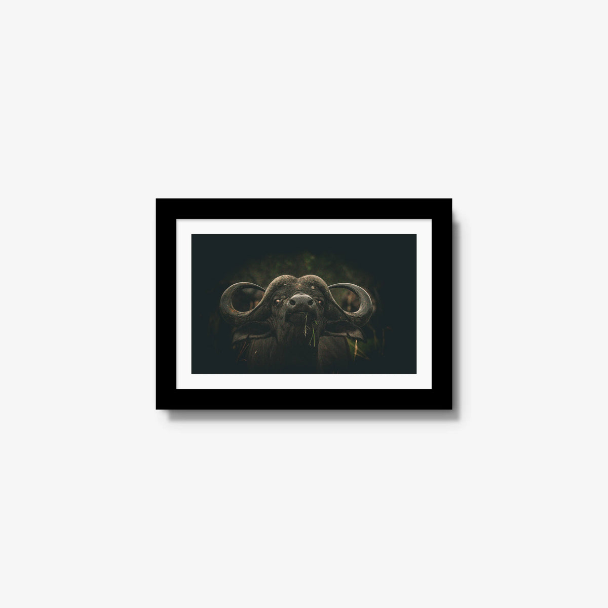 The Boss — mini / black / mat