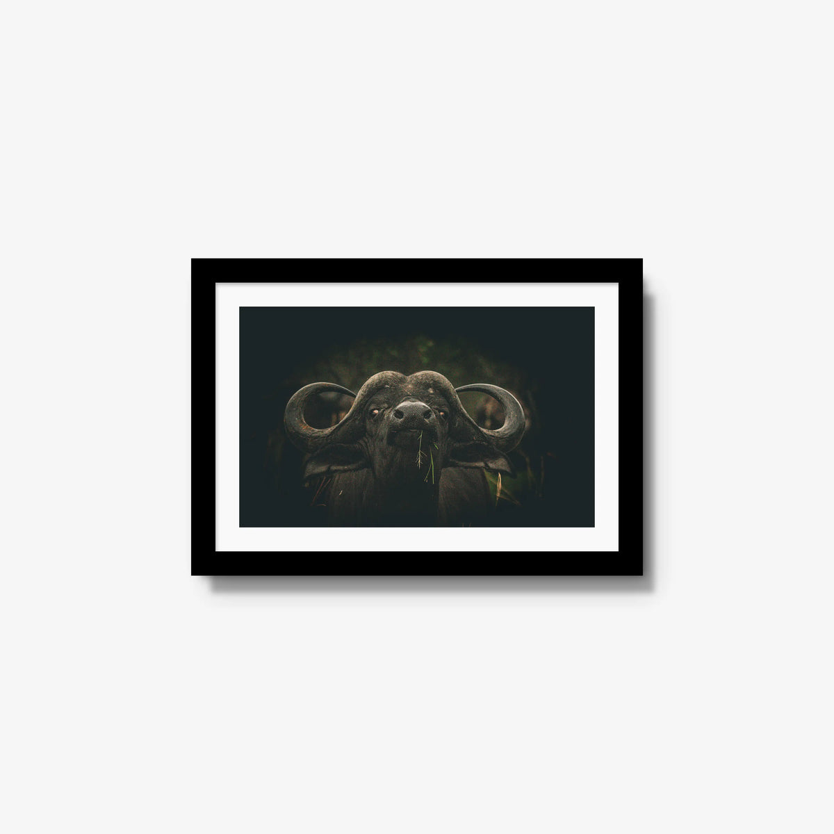 The Boss — small / black / mat