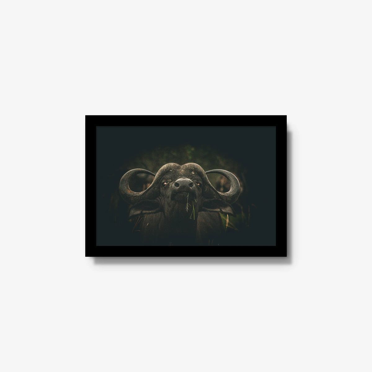 The Boss — small / black / full