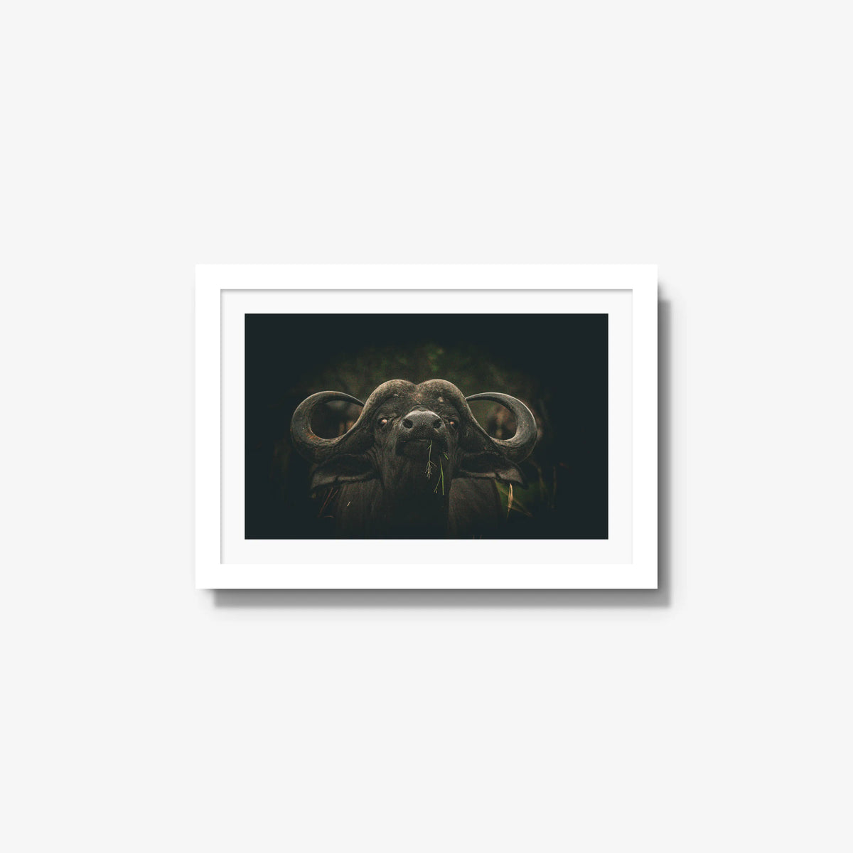 The Boss — small / white / mat