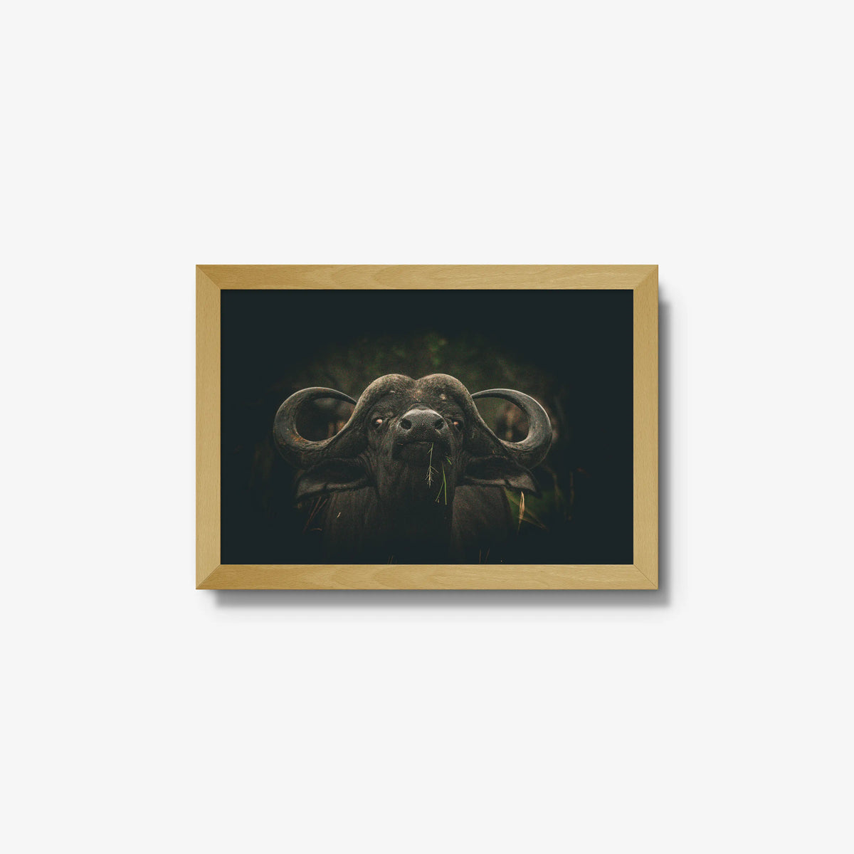 The Boss — small / natural / full