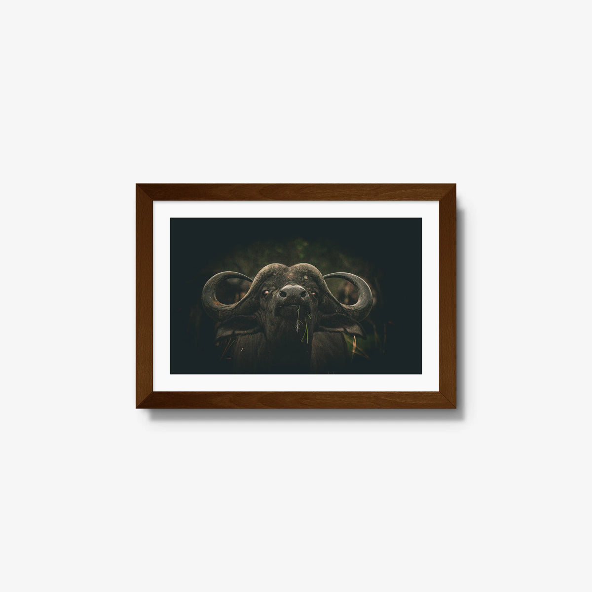 The Boss — small / brown / mat