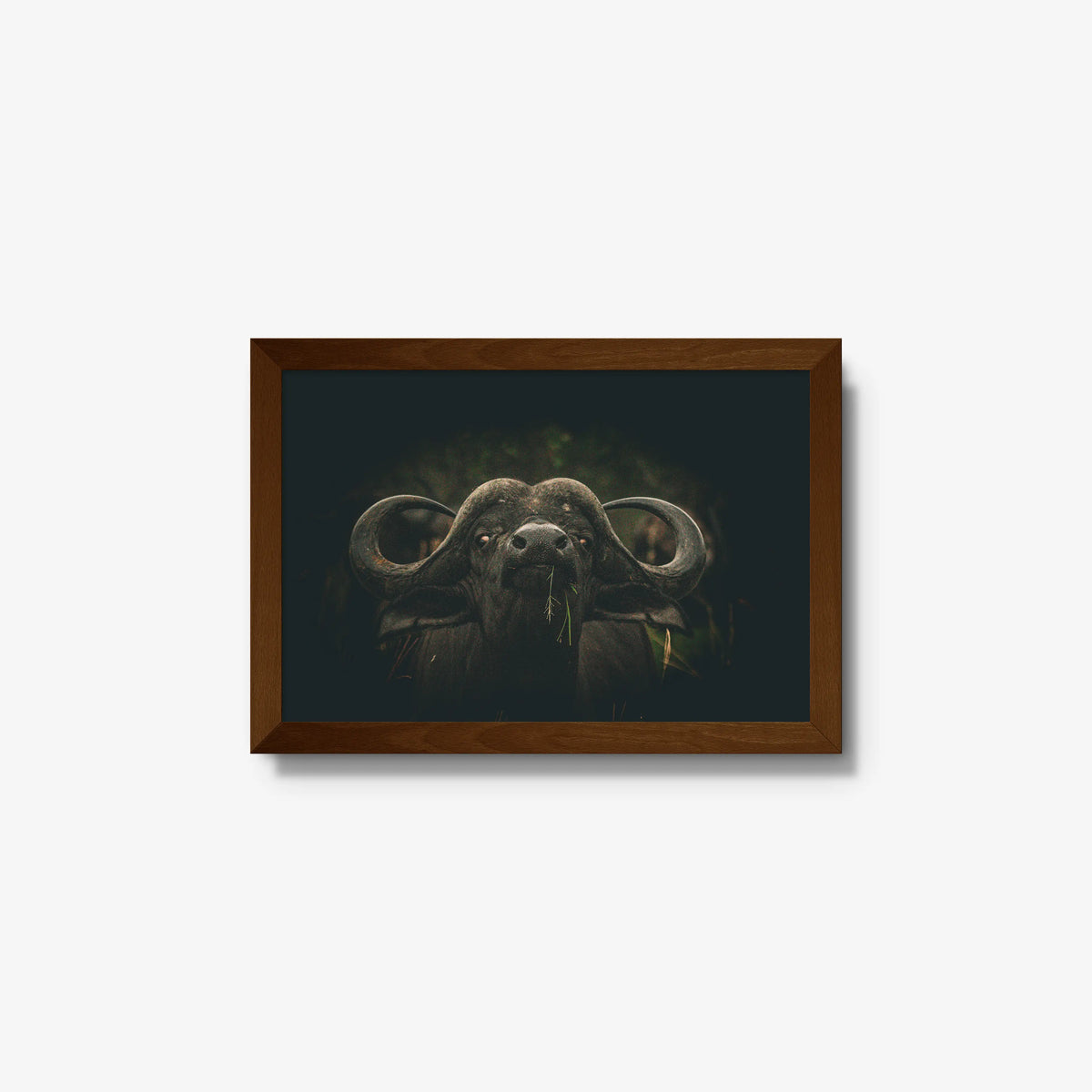 The Boss — small / brown / full