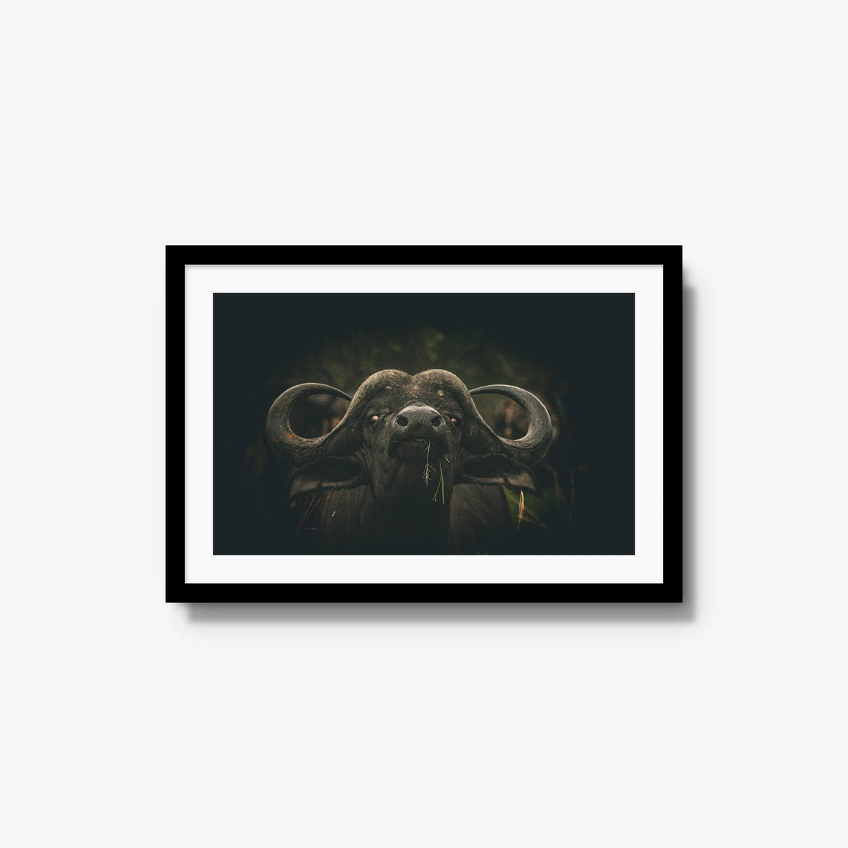 The Boss — medium / black / mat