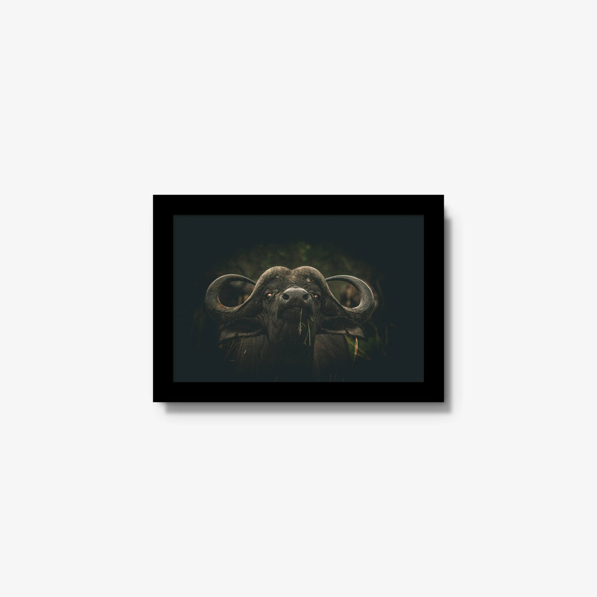 The Boss — mini / black / full