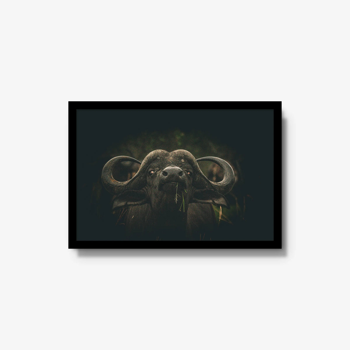 The Boss — medium / black / full