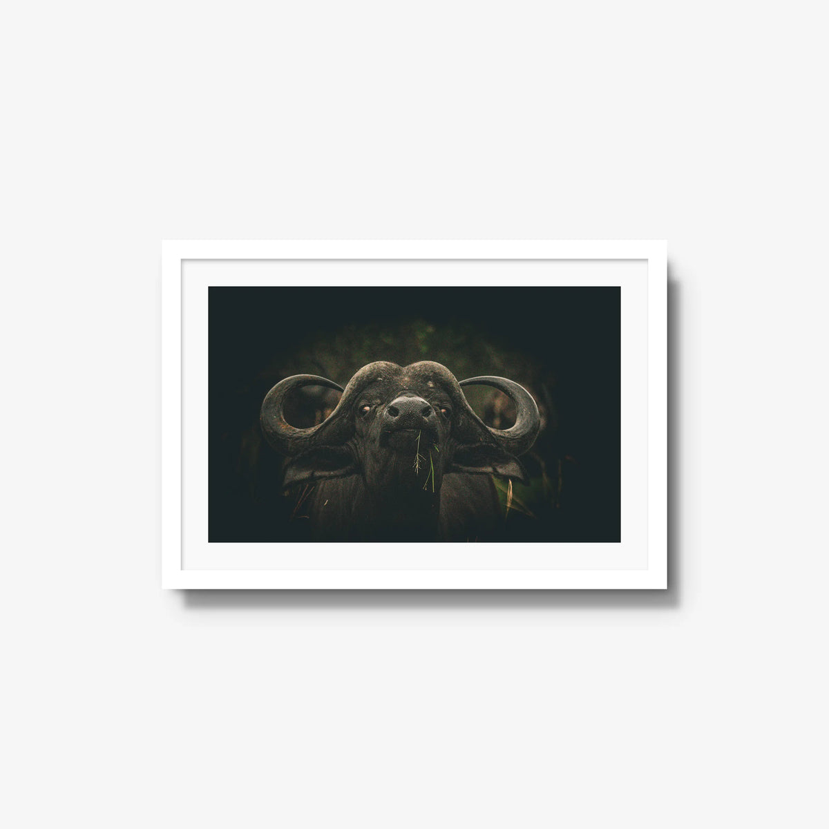 The Boss — medium / white / mat