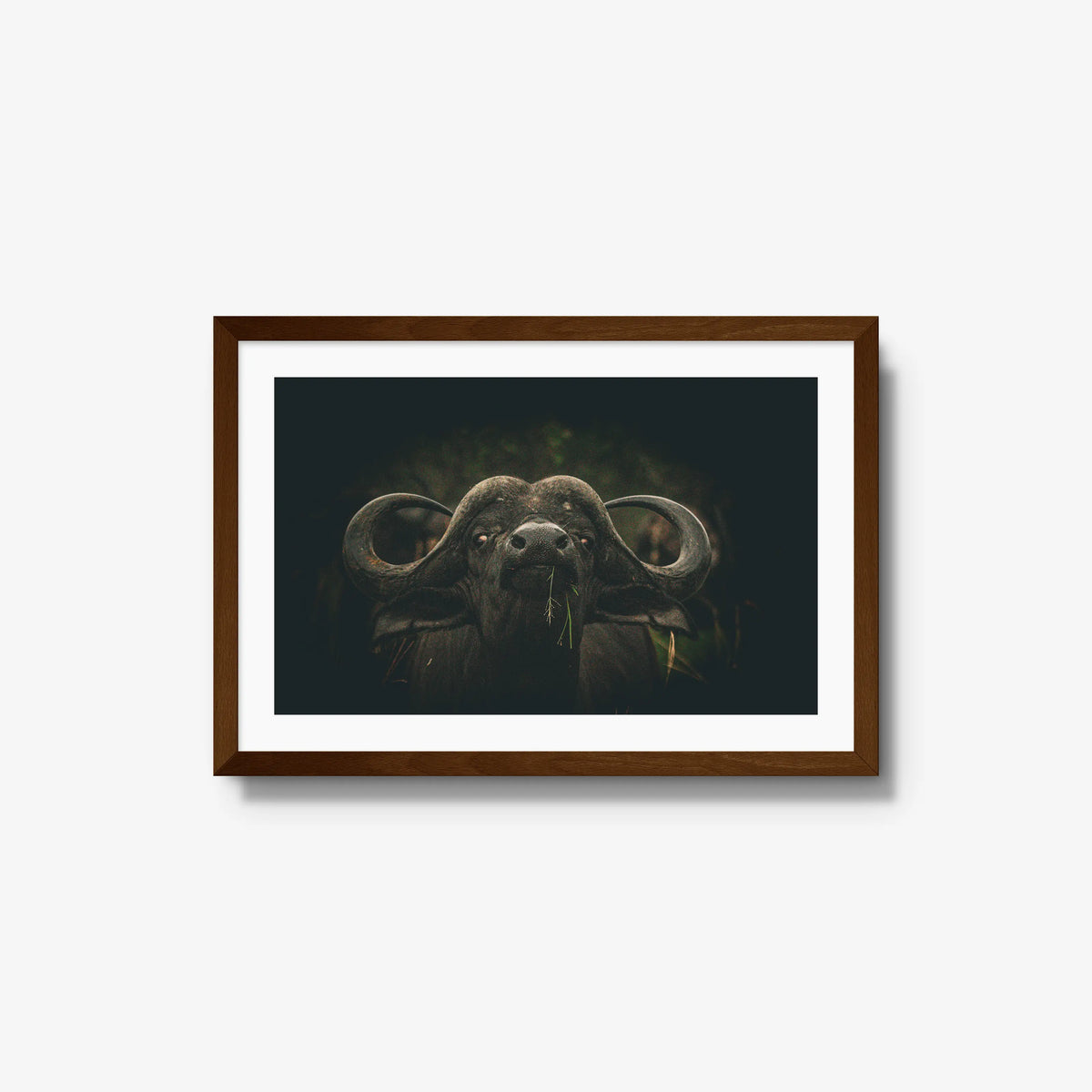 The Boss — medium / brown / mat