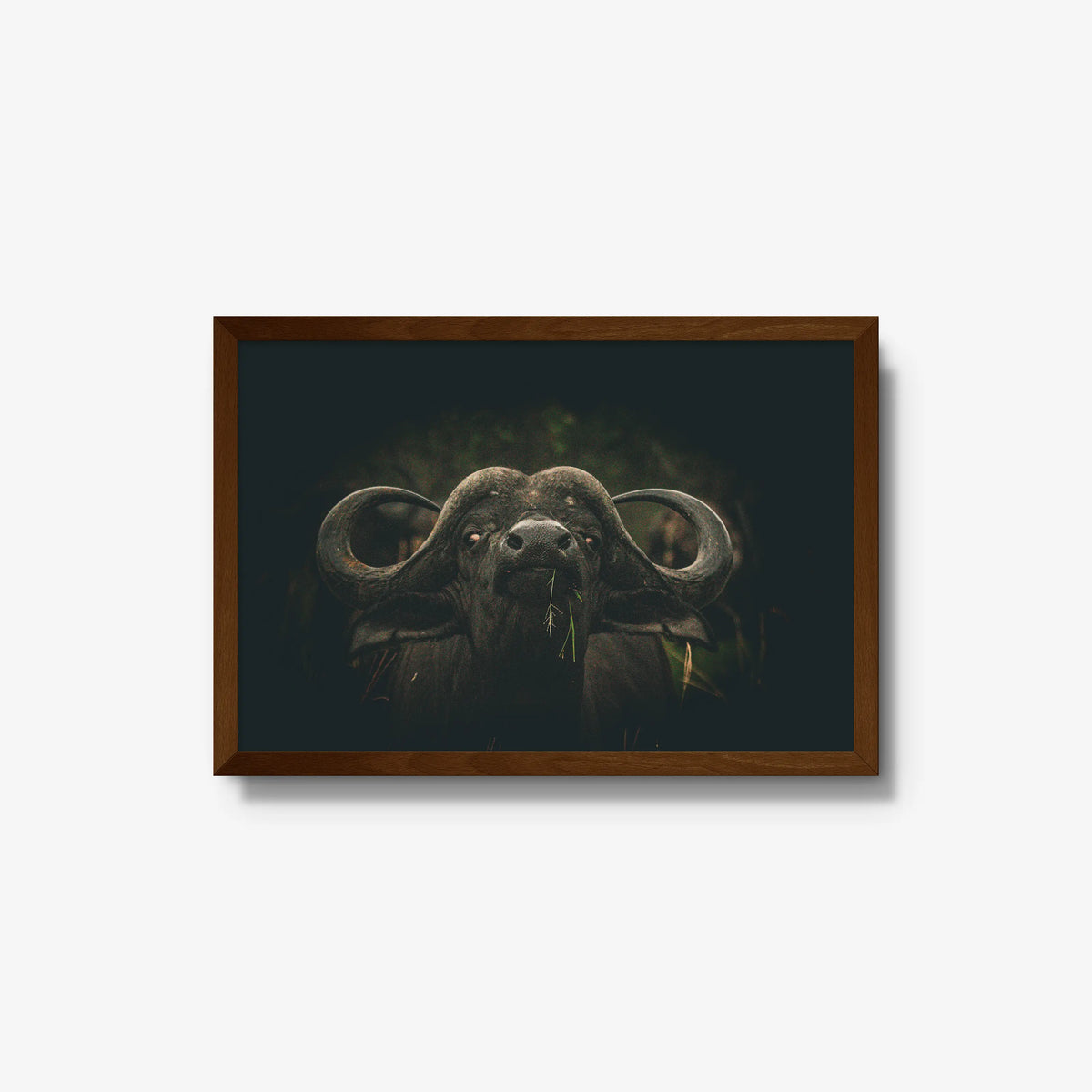 The Boss — medium / brown / full