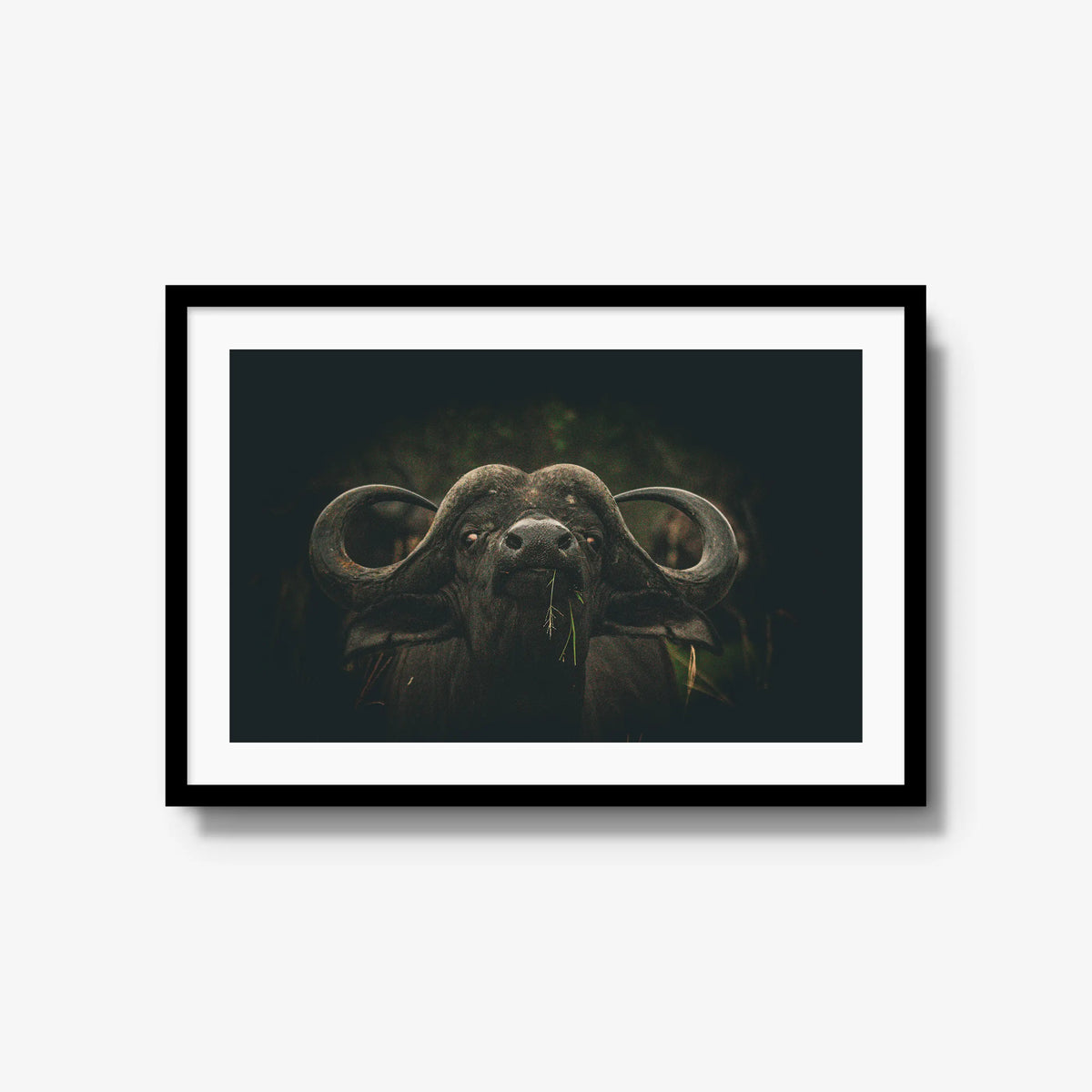 The Boss — large / black / mat