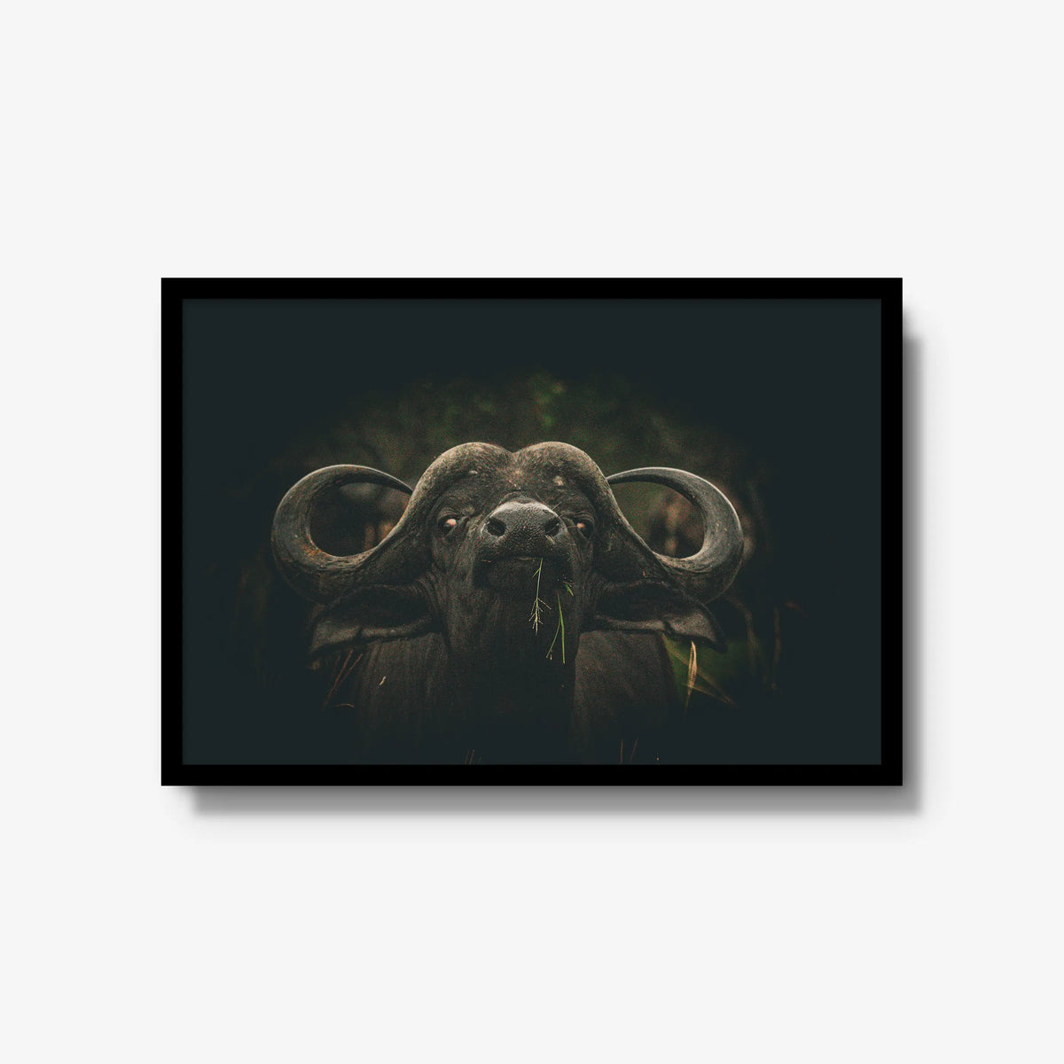 The Boss — large / black / full