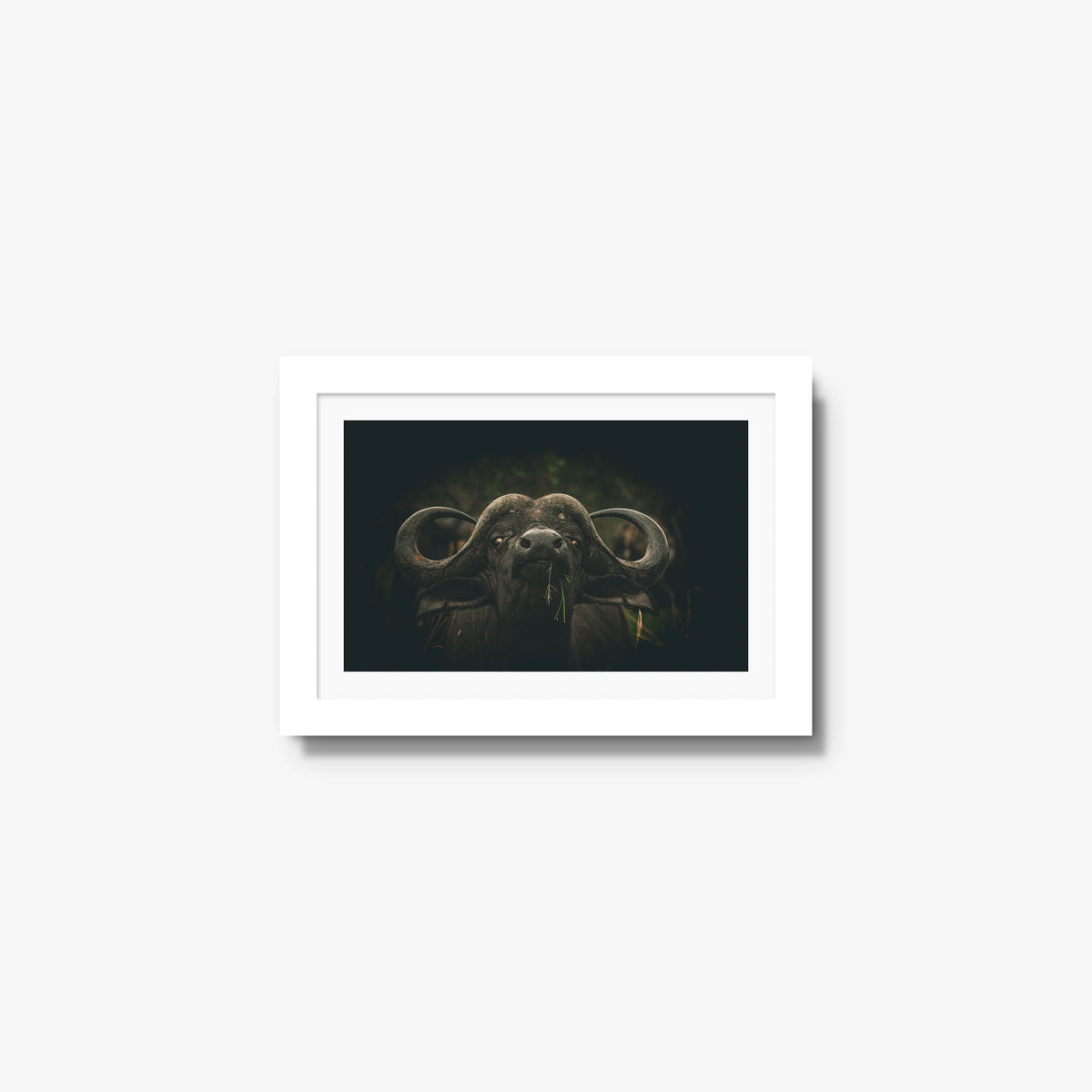 The Boss — mini / white / mat