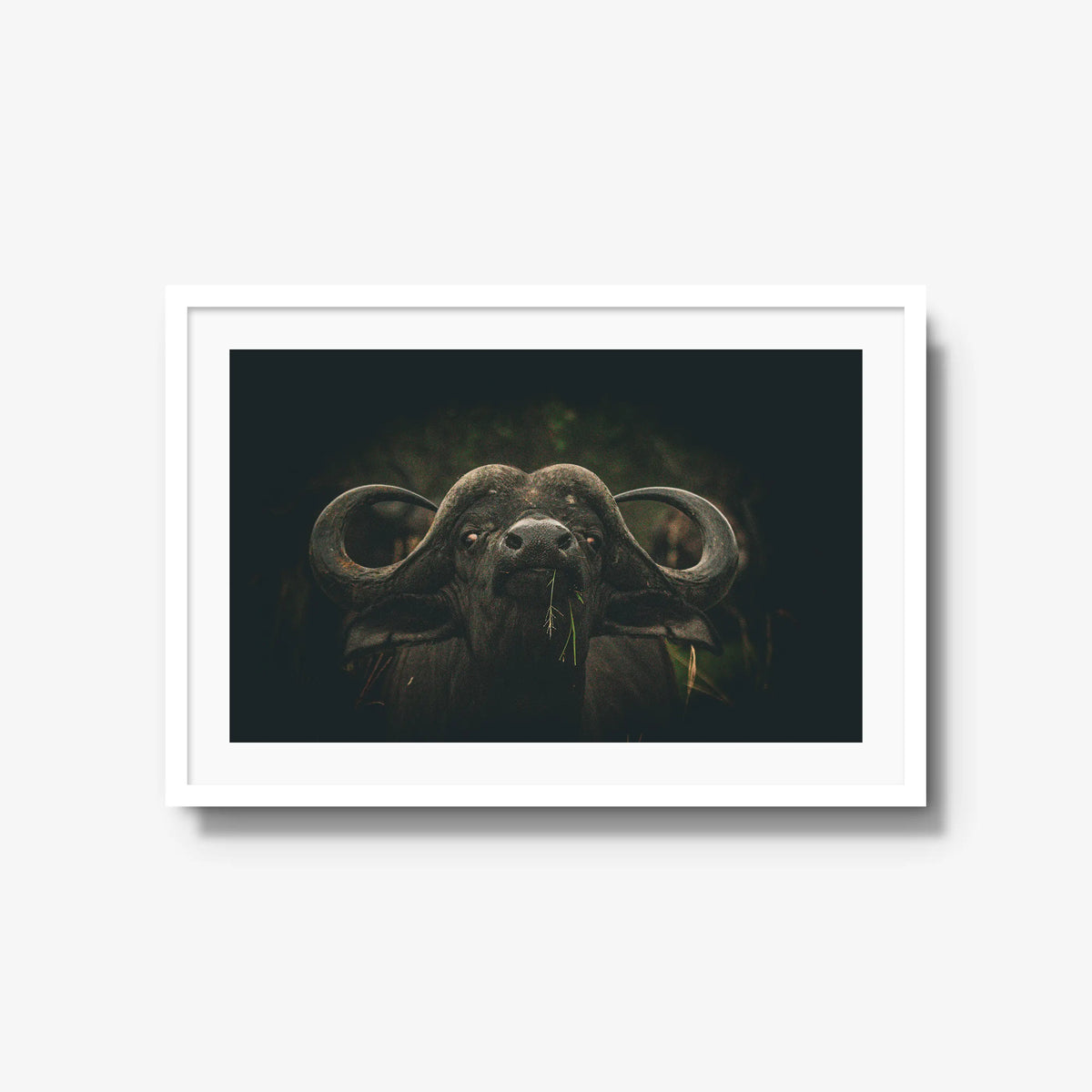 The Boss — large / white / mat