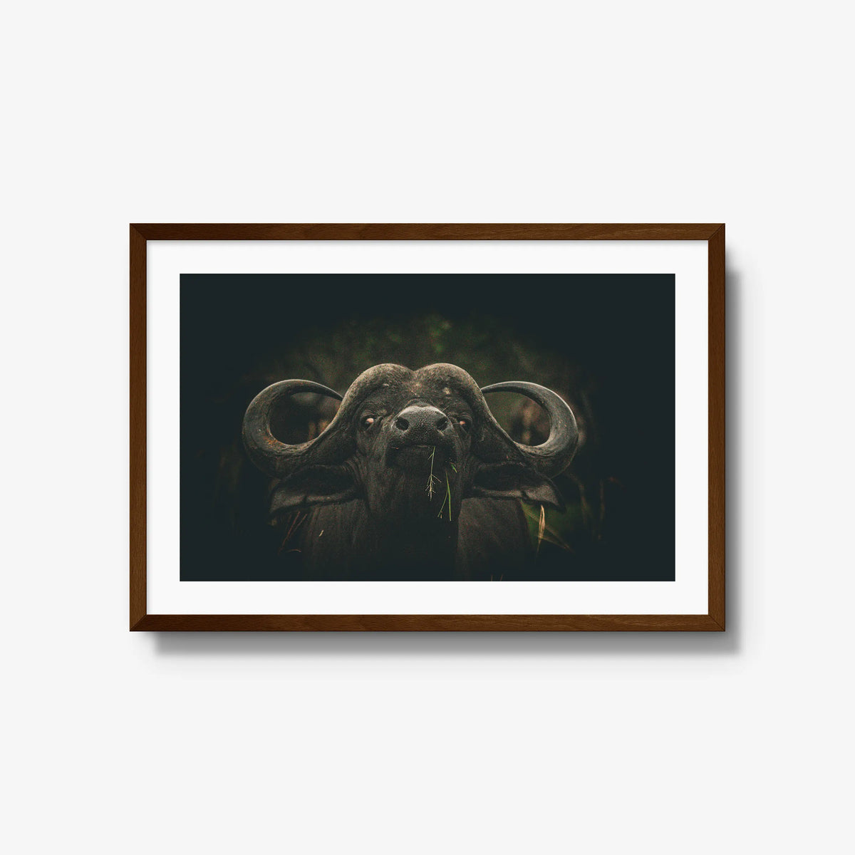 The Boss — large / brown / mat