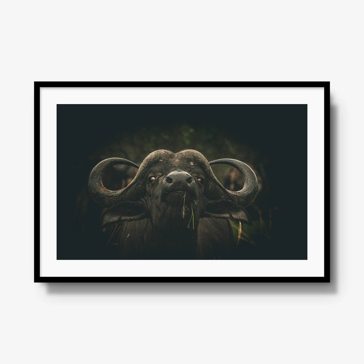 The Boss — gallery / black / mat