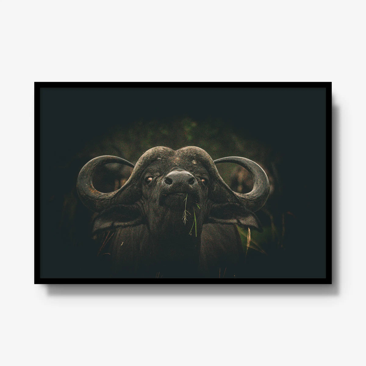 The Boss — gallery / black / full
