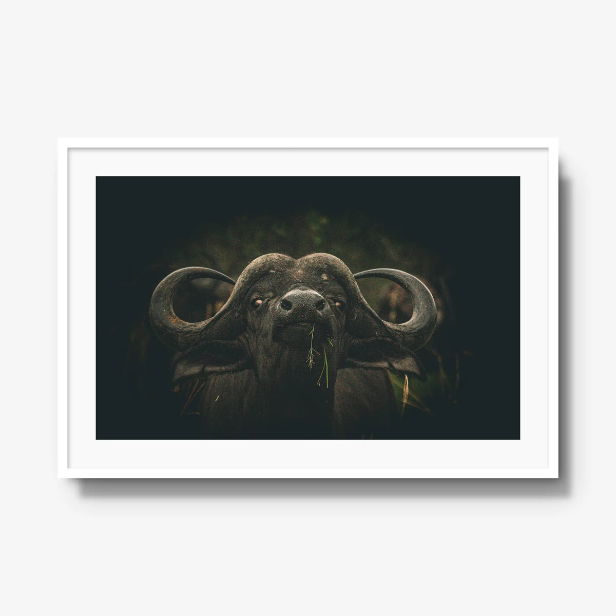 The Boss — gallery / white / mat
