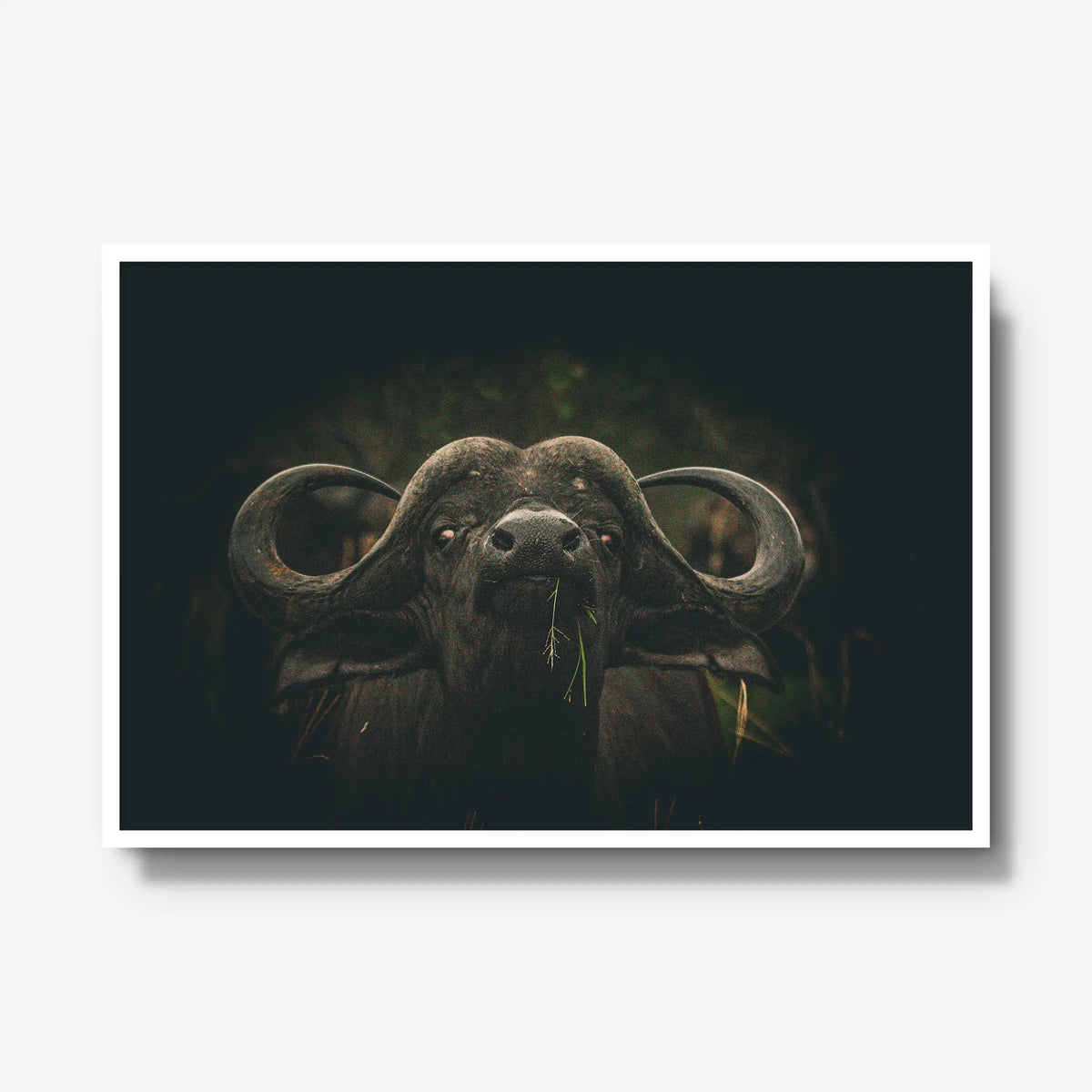 The Boss — gallery / white / full