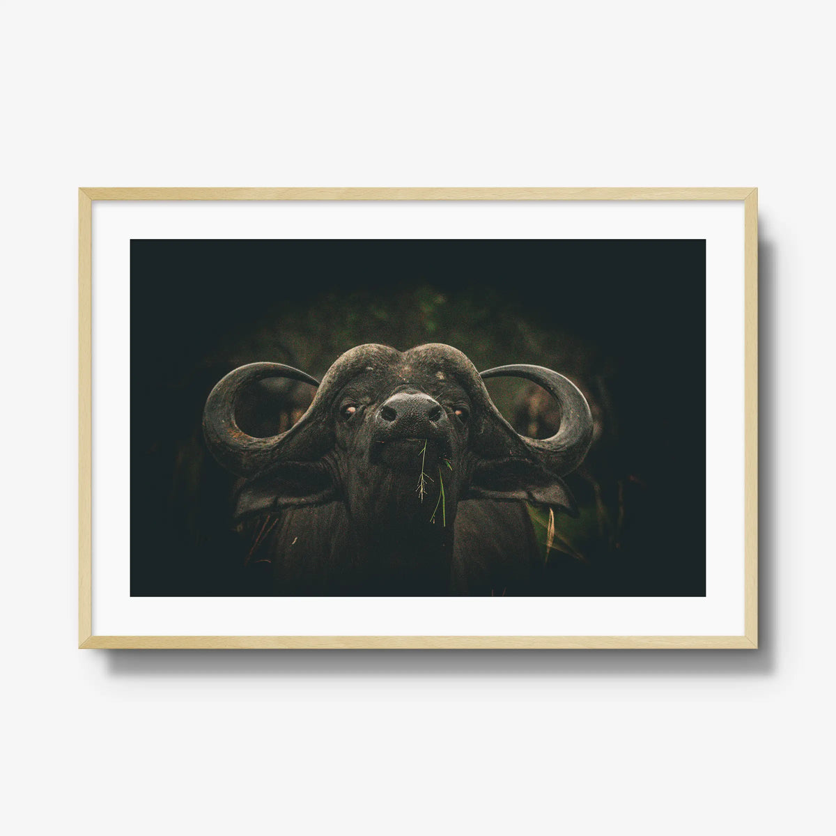 The Boss — gallery / natural / mat
