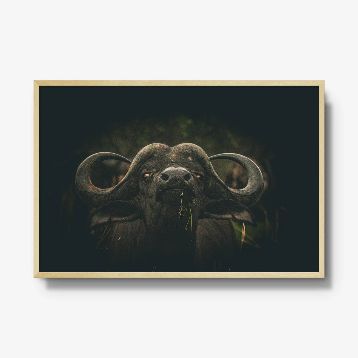 The Boss — gallery / natural / full