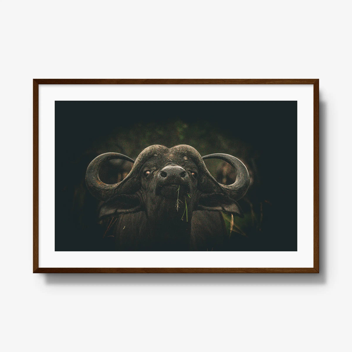 The Boss — gallery / brown / mat