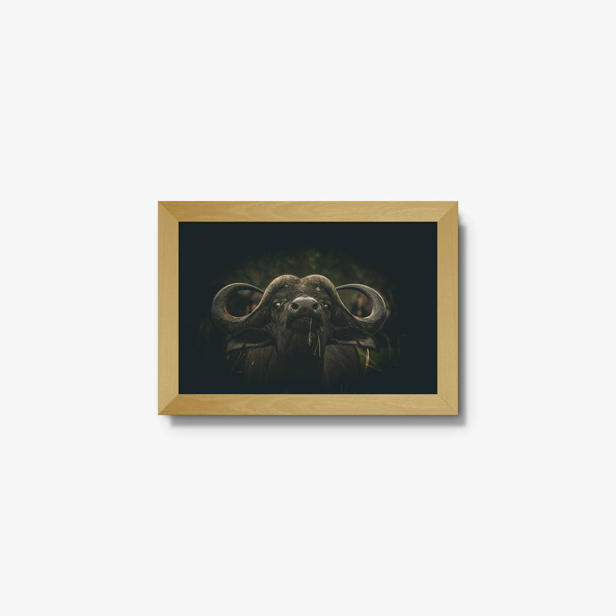 The Boss — mini / natural / full