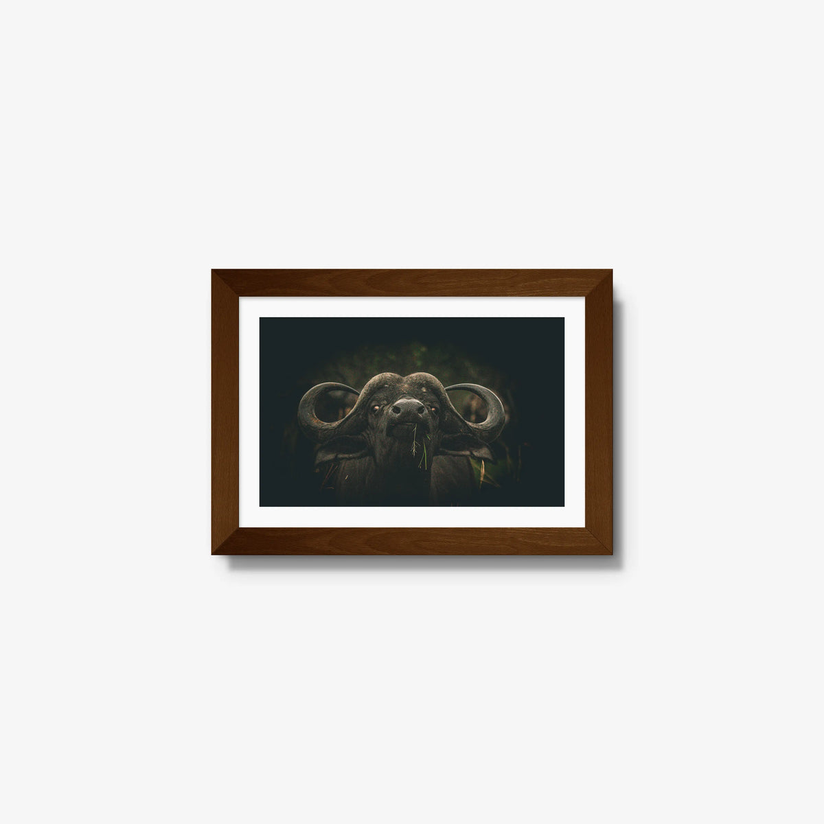 The Boss — mini / brown / mat