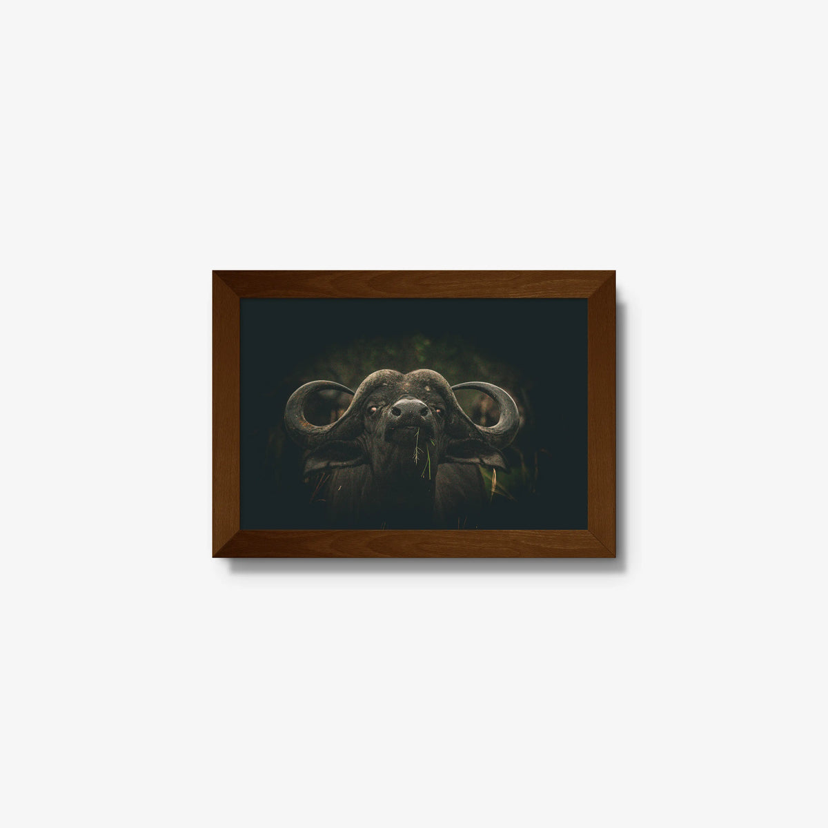 The Boss — mini / brown / full