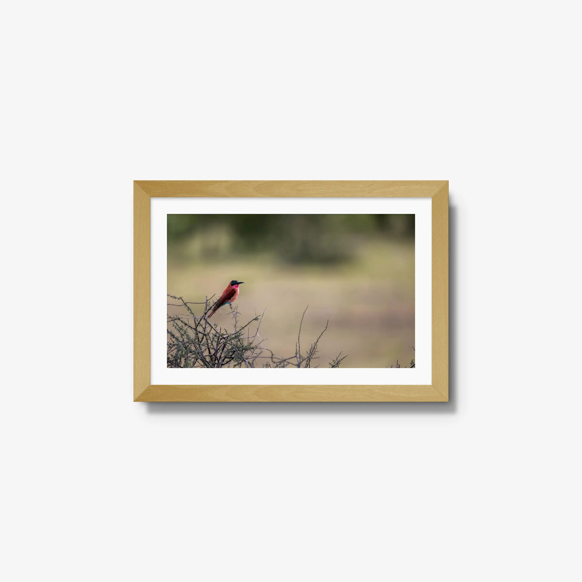 Carmine — small / natural / mat