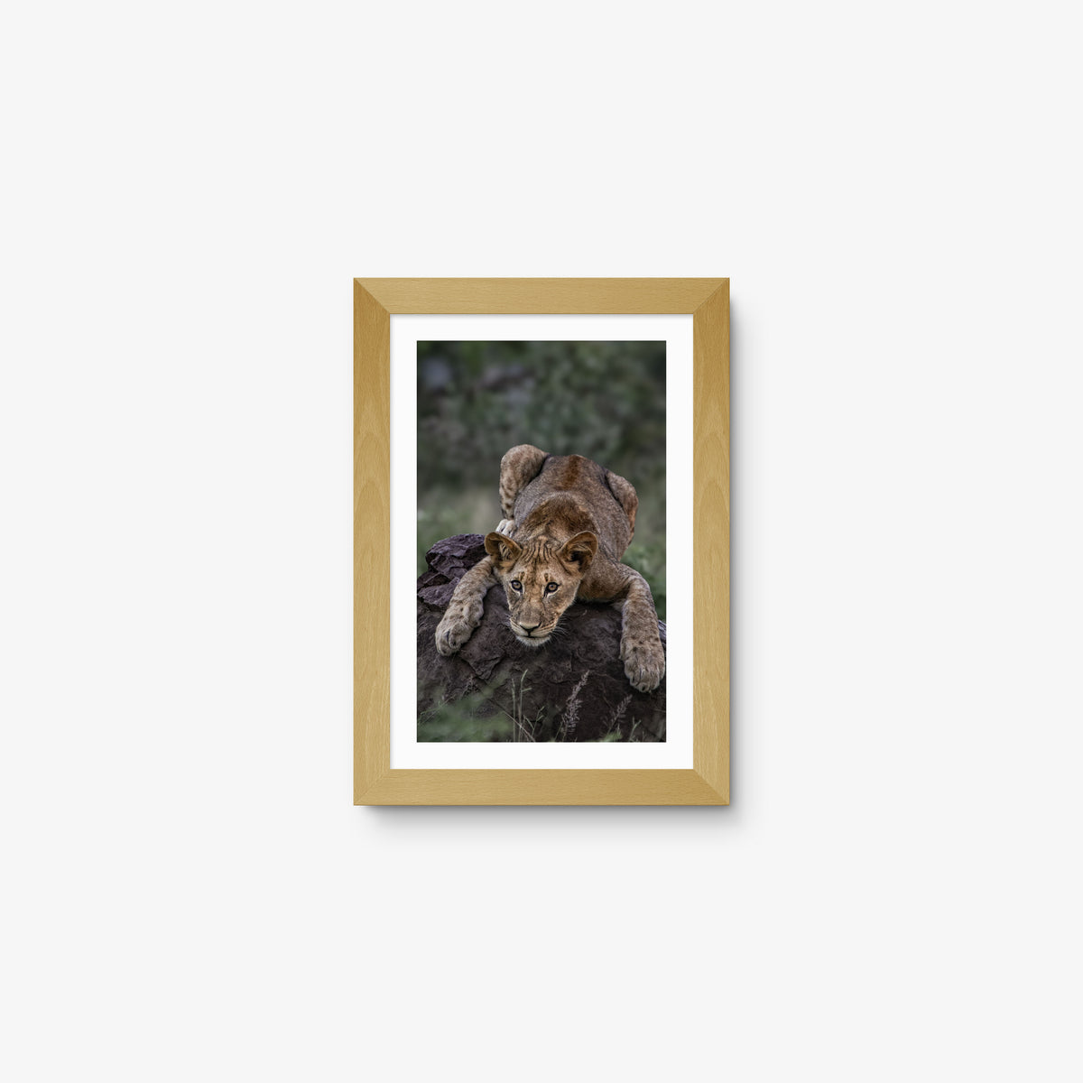 Quiet Curiosity — mini / natural / mat