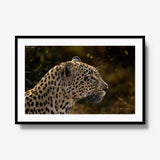 Tengile Female