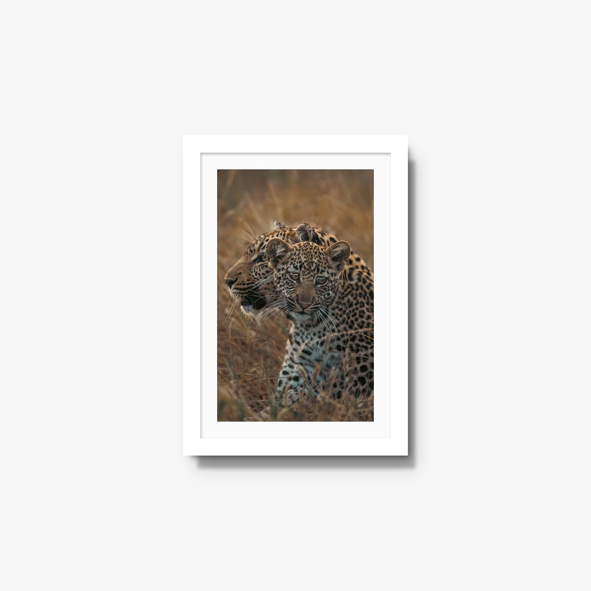 And One — small / white / mat
