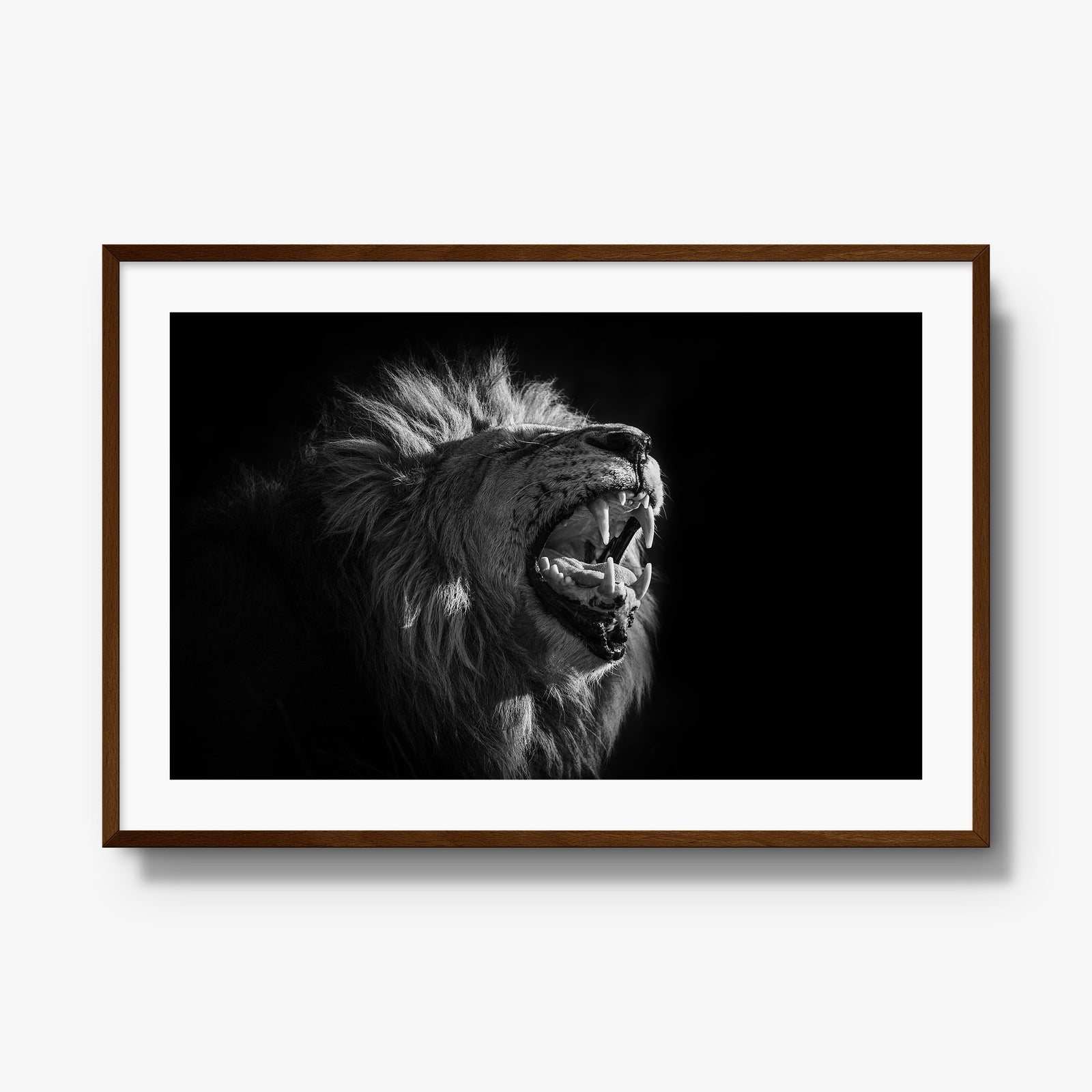 Head of House