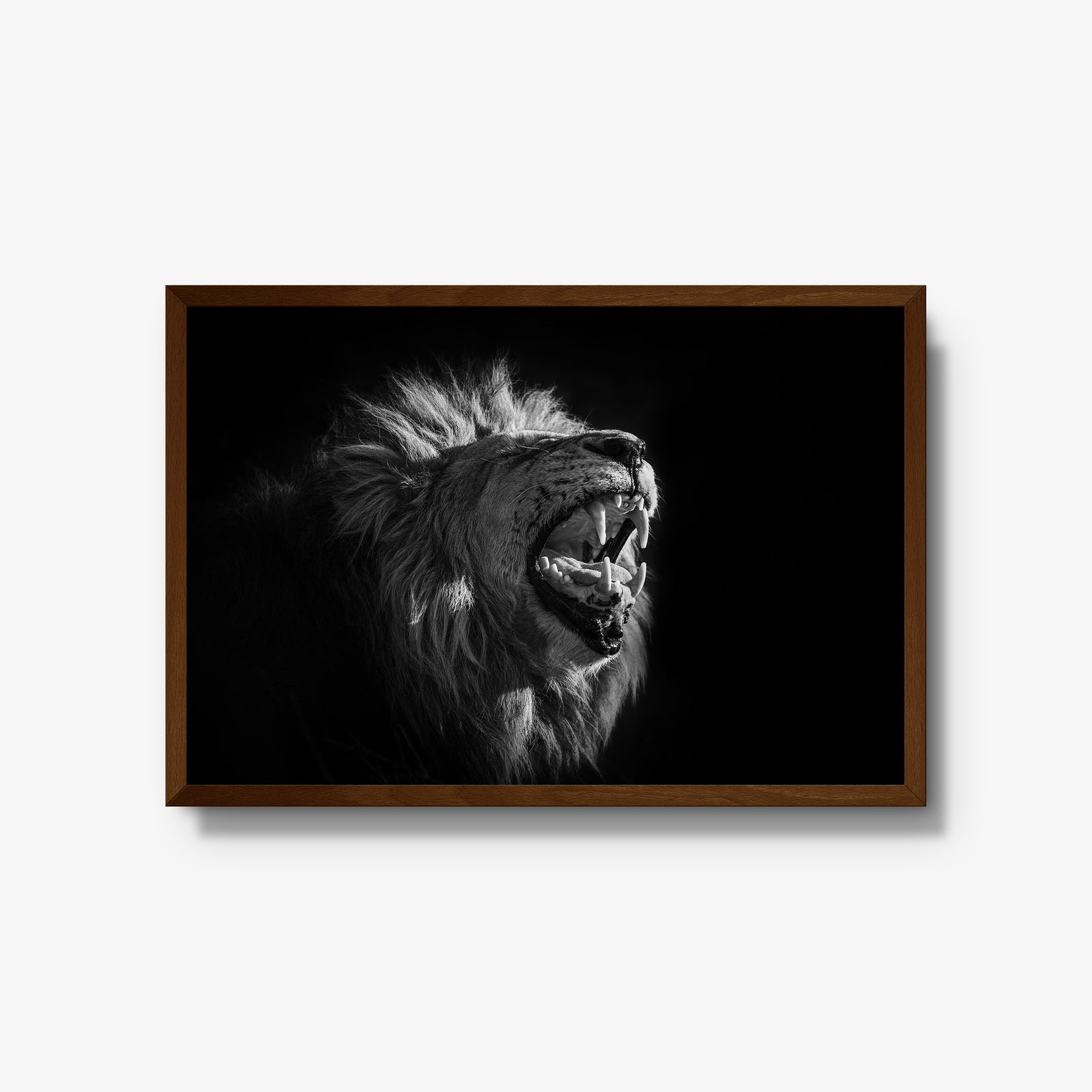 Head of House