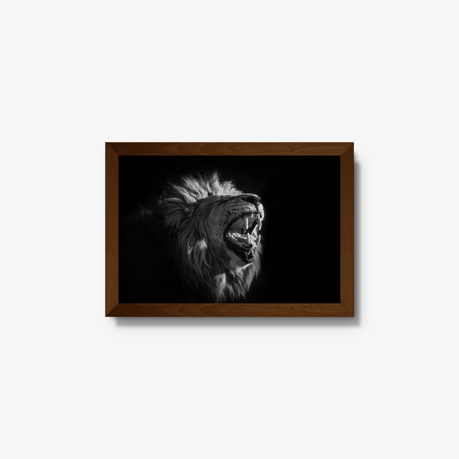 Head of House