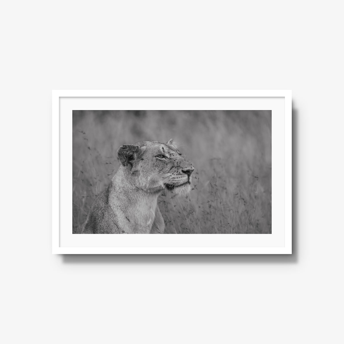 The Long Watch — large / white / mat