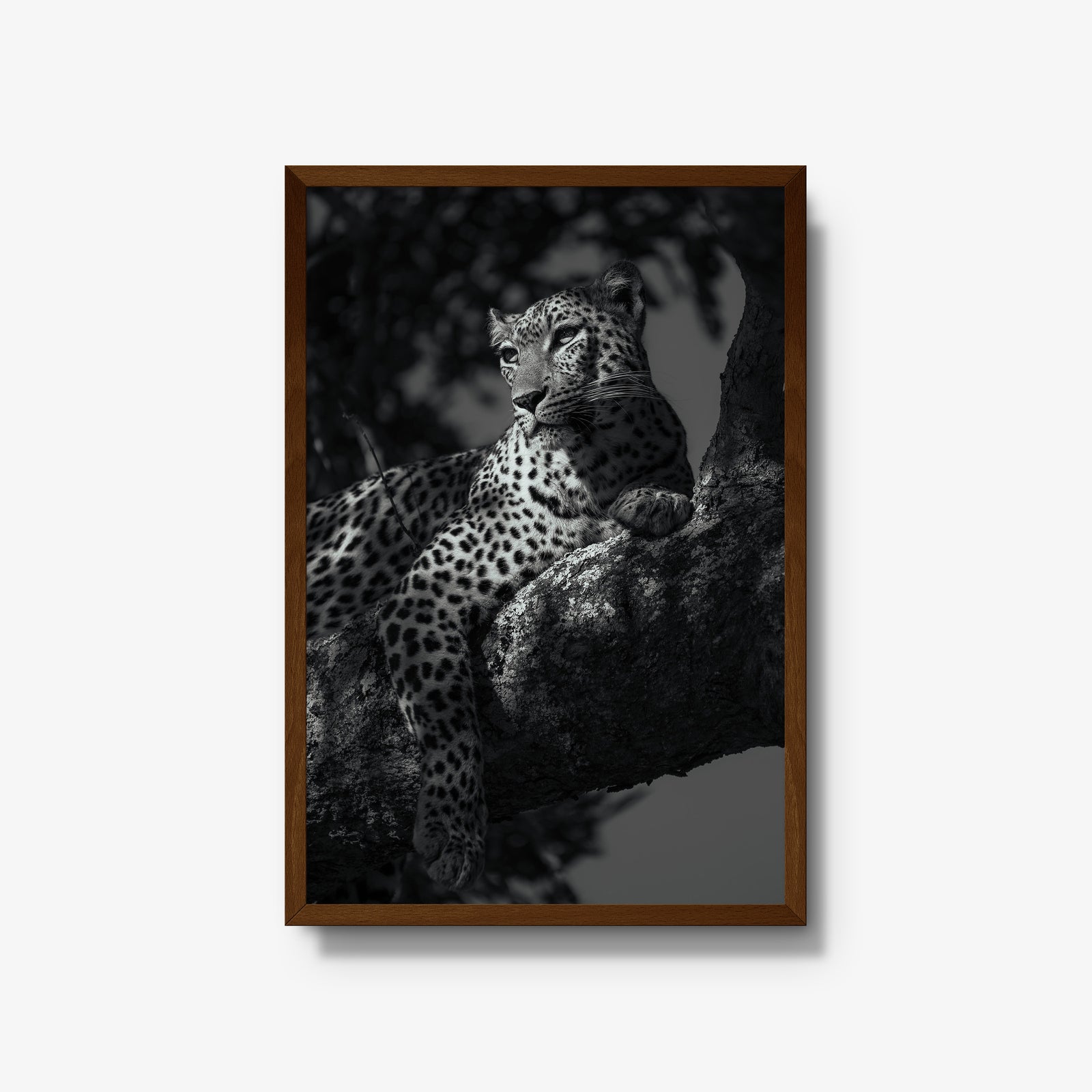 At Ease
