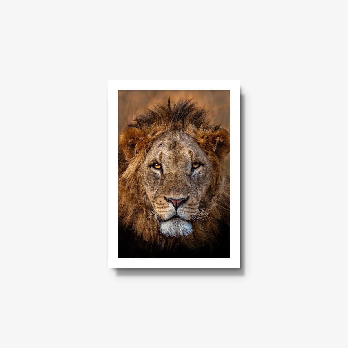 Sovereign