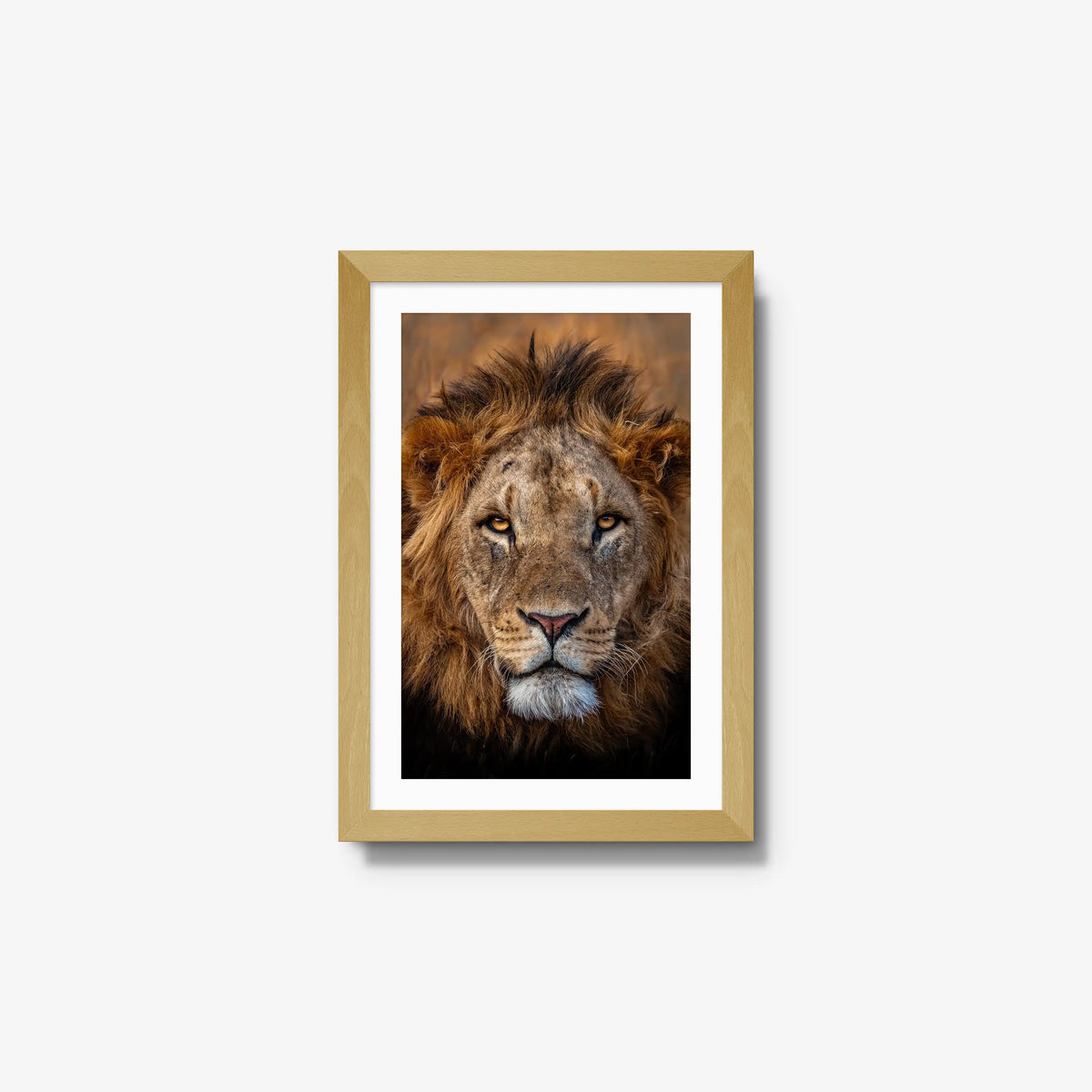 Sovereign