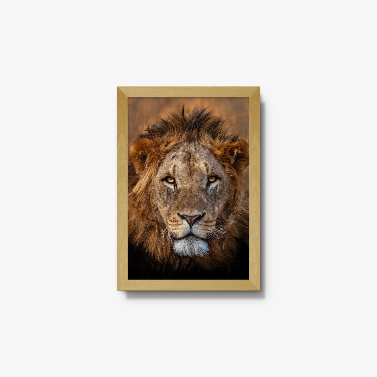 Sovereign