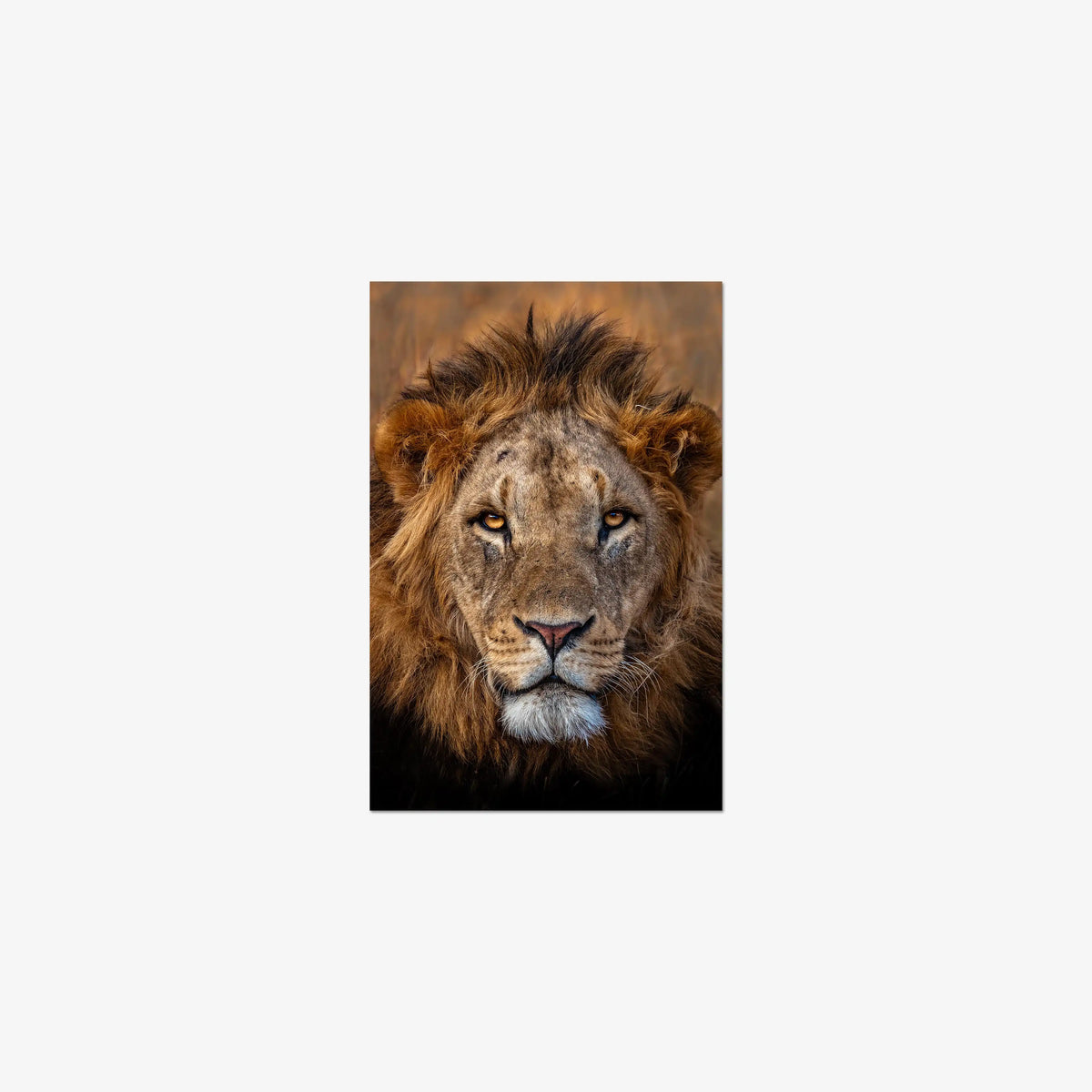 Sovereign