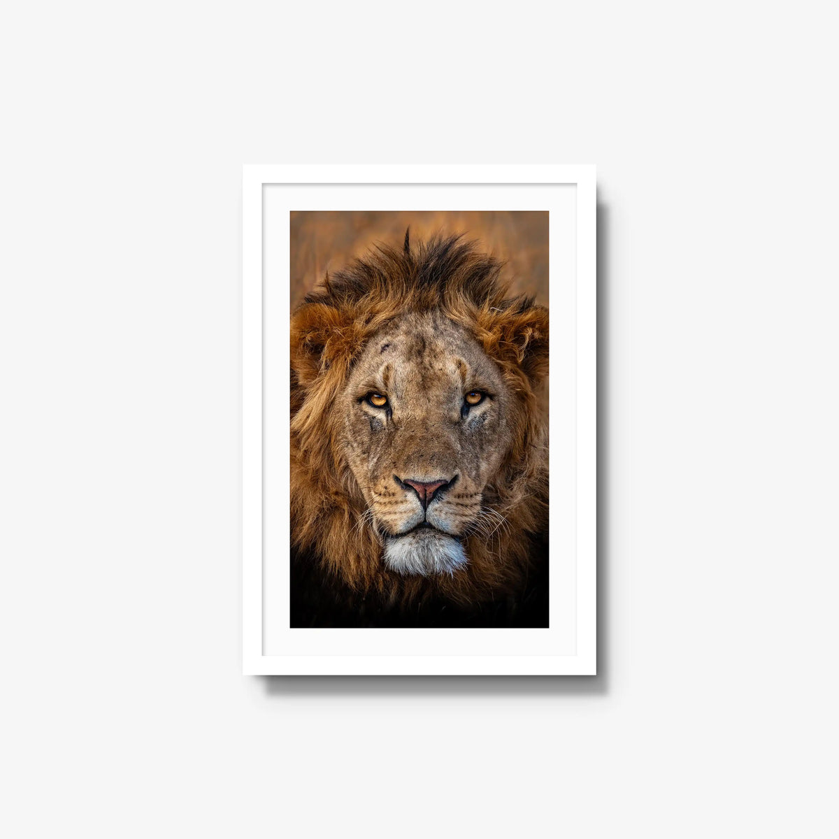 Sovereign