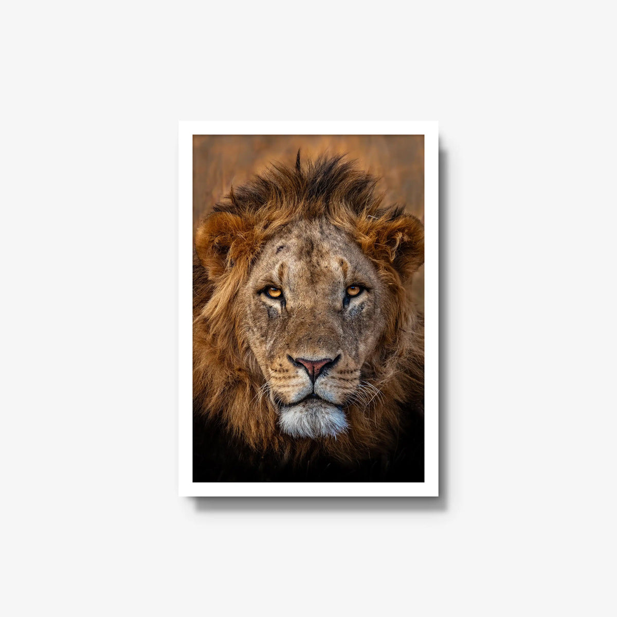 Sovereign