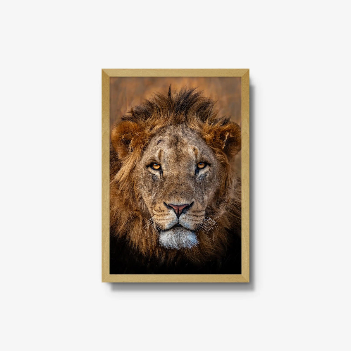 Sovereign
