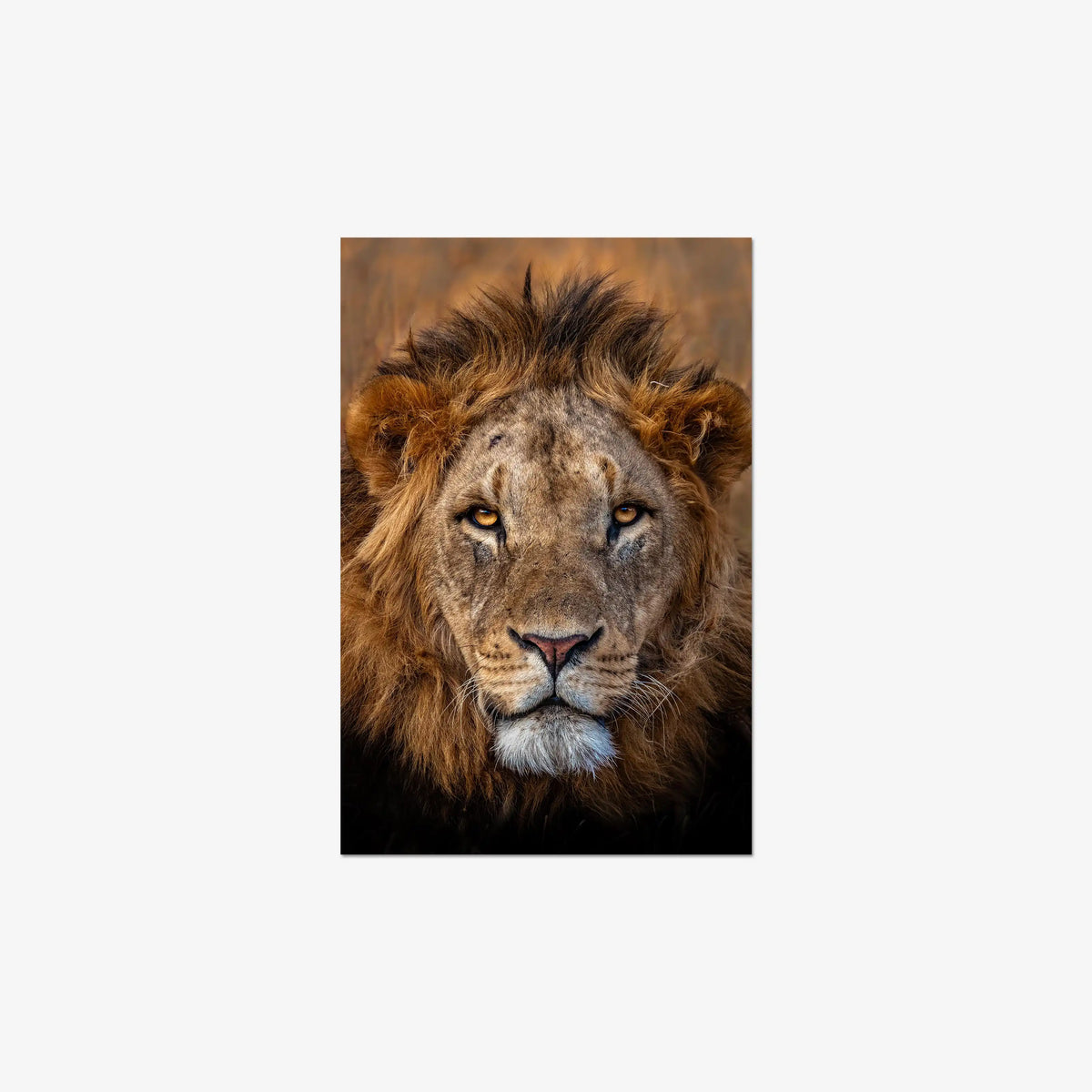 Sovereign