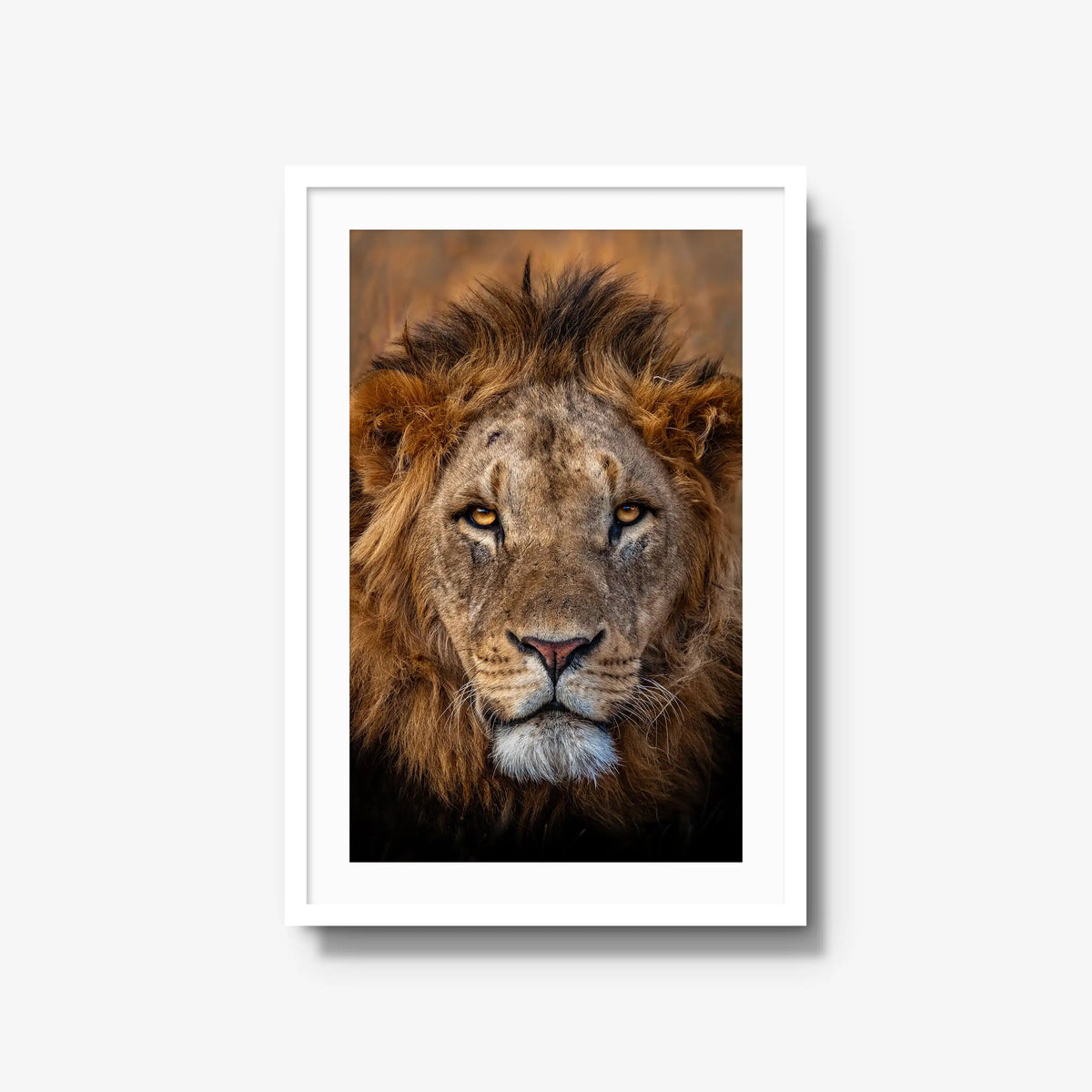 Sovereign