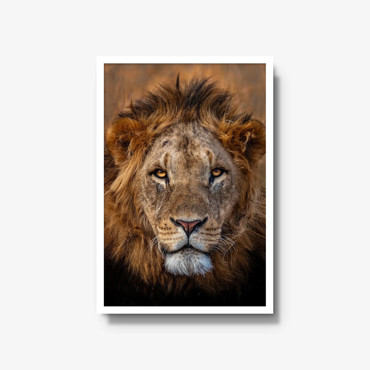 Sovereign