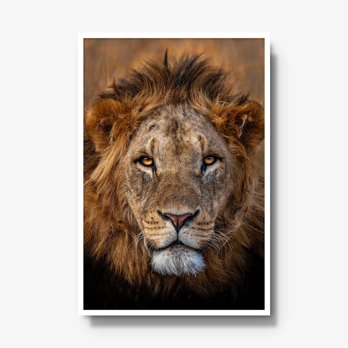 Sovereign