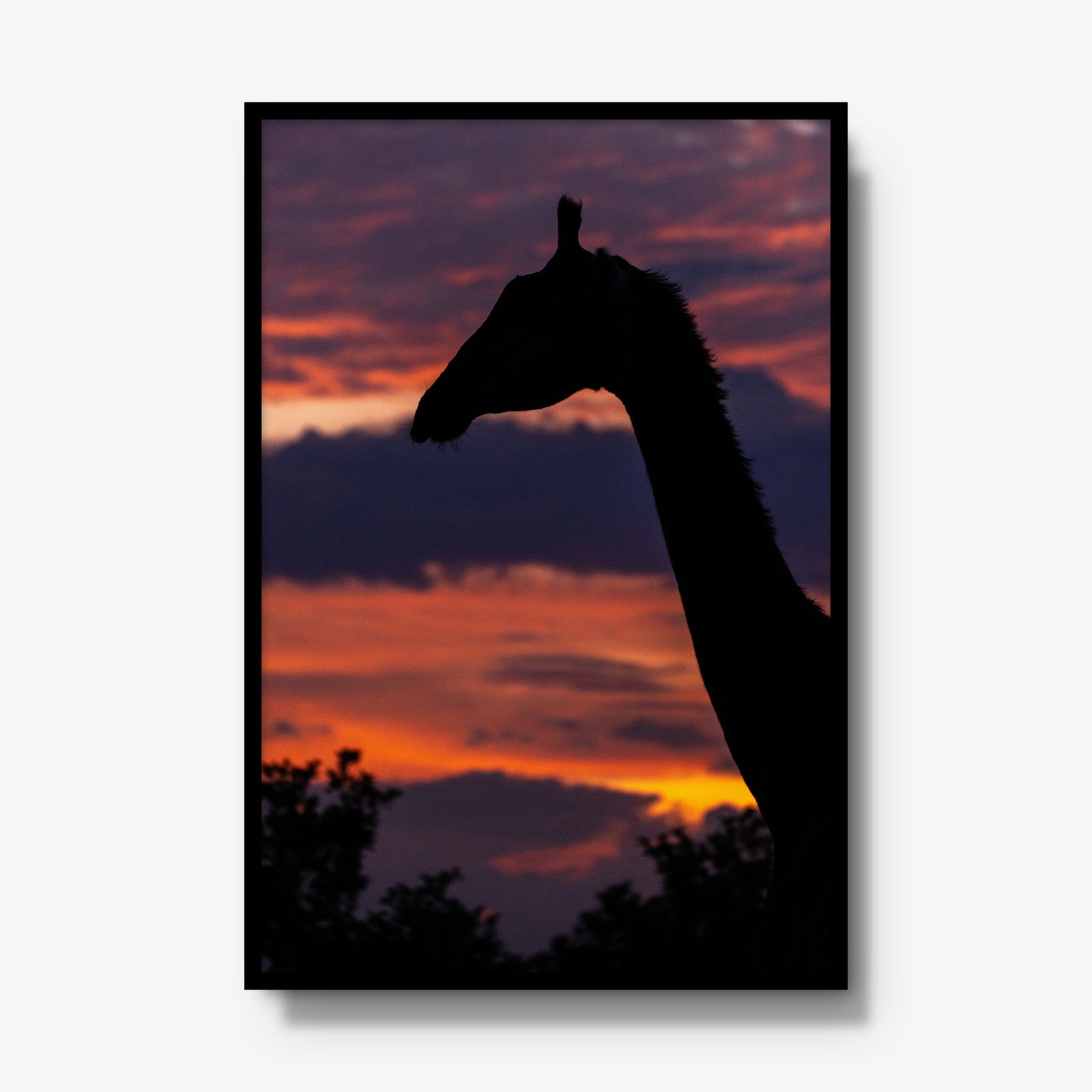 Sundowner